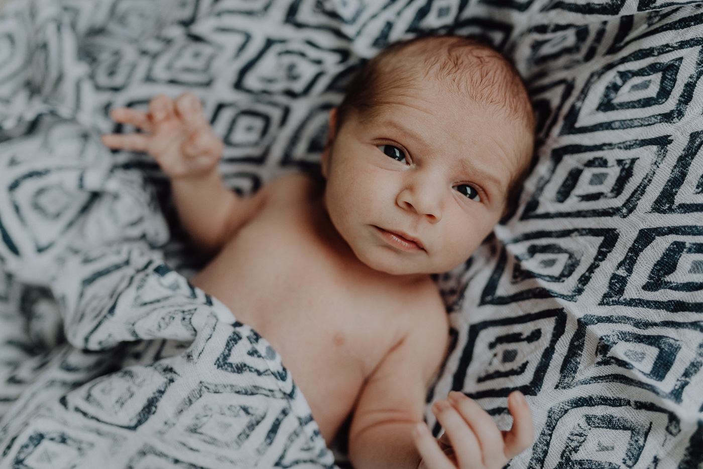 Kian + Arian  – Newborn & Family